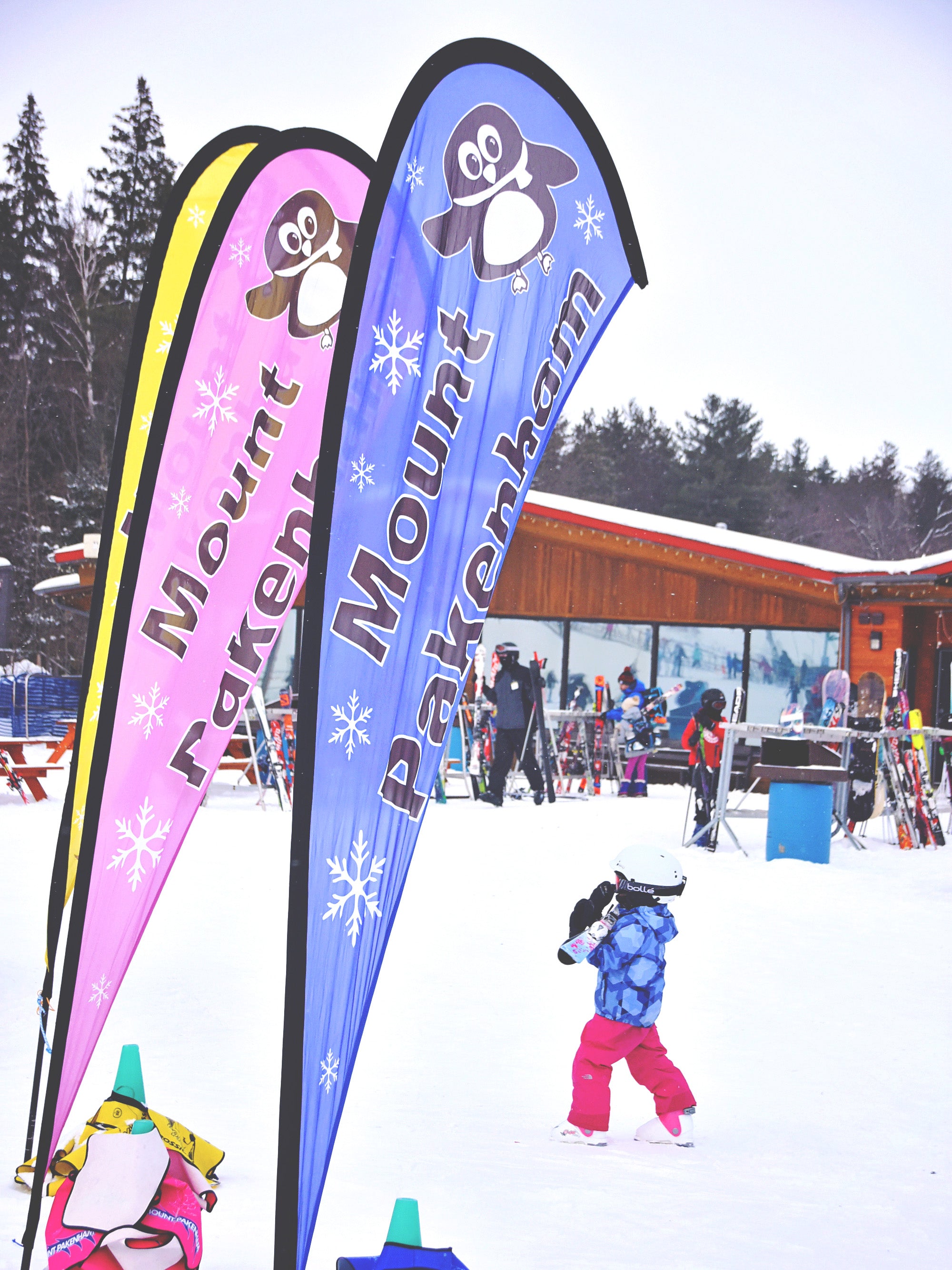 Never Skied or Snowboarded