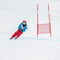 10wk Clifford Race SKI Program