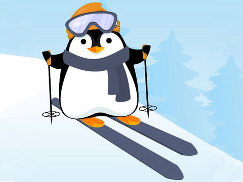 Private SKI Lesson (All Ages)